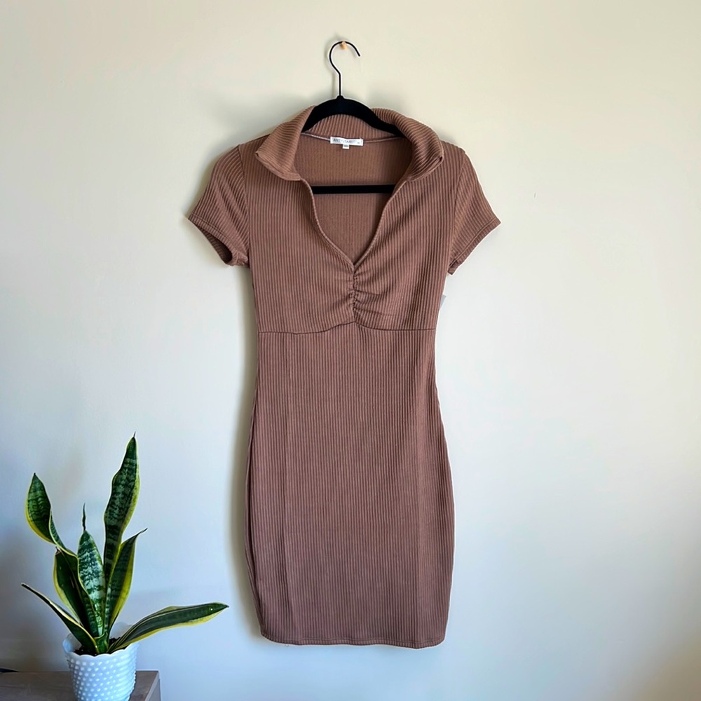 Rose-dust Dress 🌹